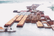  Barges freeport Tug Boats port o connor Pushboats new orleans Inland Pushboats aransas pass Heavy Haul Barges shreveport Deck Barges mississippi Hopper Barges clearwater Ocean Barges biloxi Ocean Going Barges gulfport  